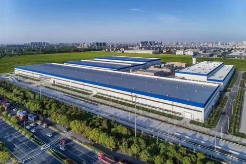 這2家桐企,全球標桿